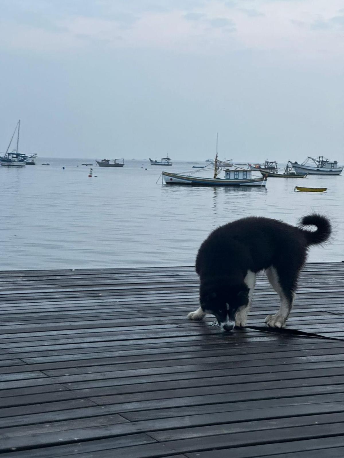 Pousada Refugio Paradisiaco 1 Piçarras Eksteriør bilde